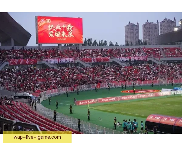 延边直播足球热潮解析球迷互动赛事传播新趋势与区域体育文化共振